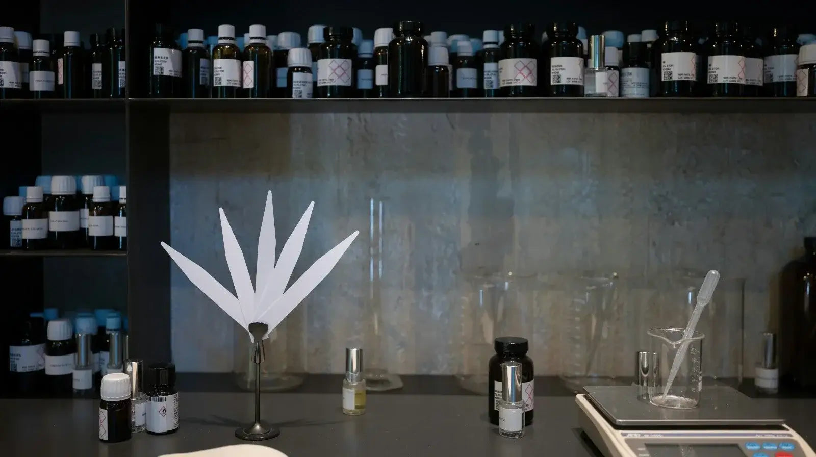 What is a signature scent? Find your perfect fragrance