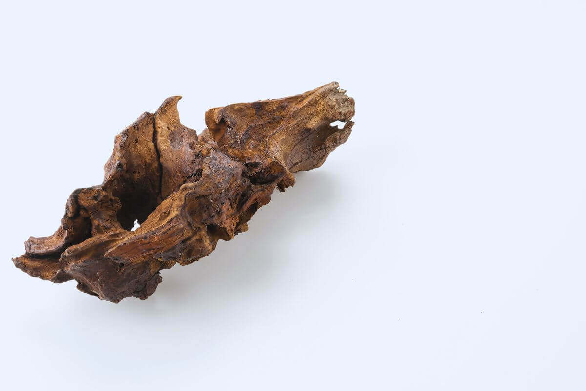What Exactly is OUD?