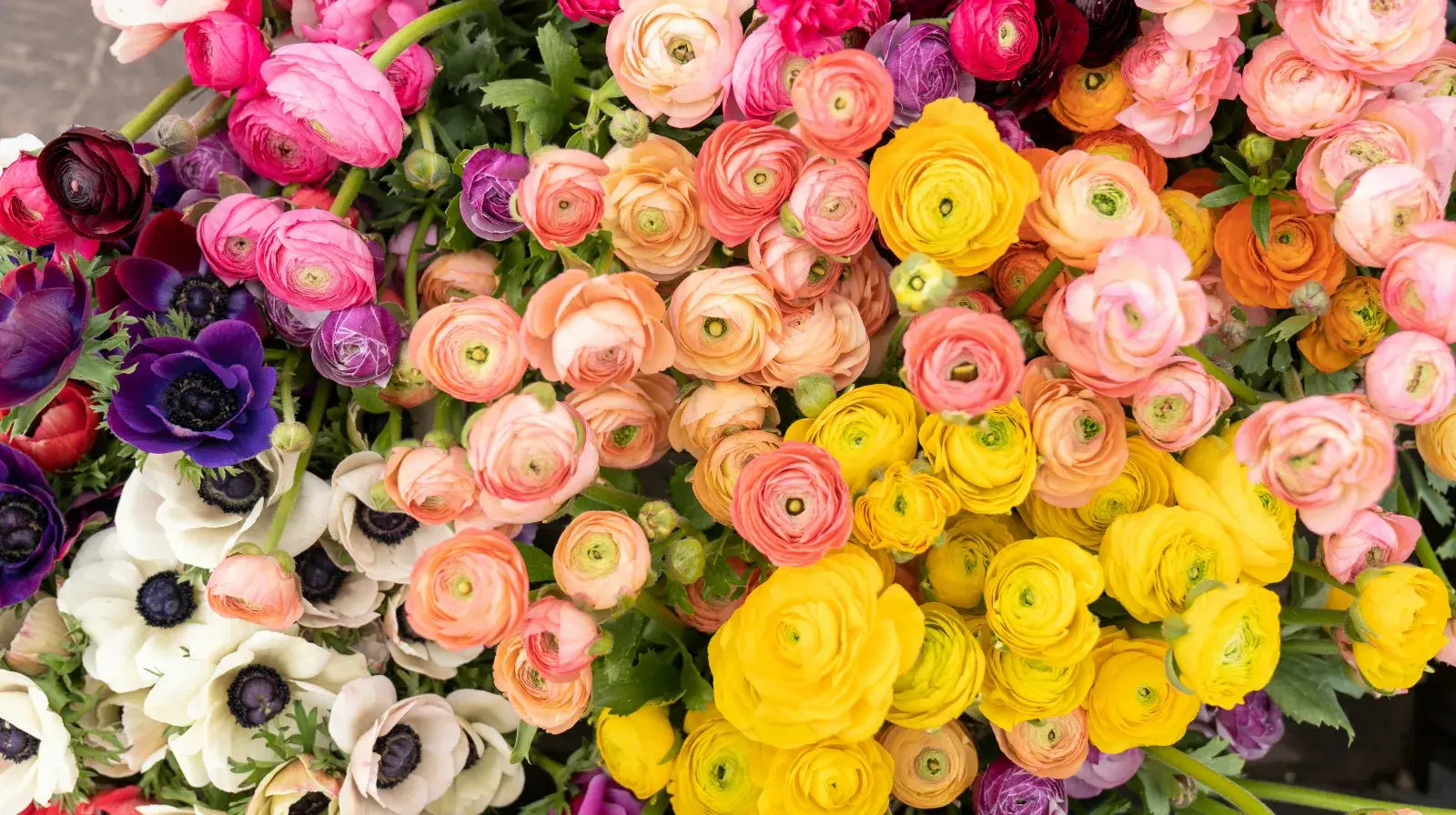 Master the role of fragrance families for perfume choices