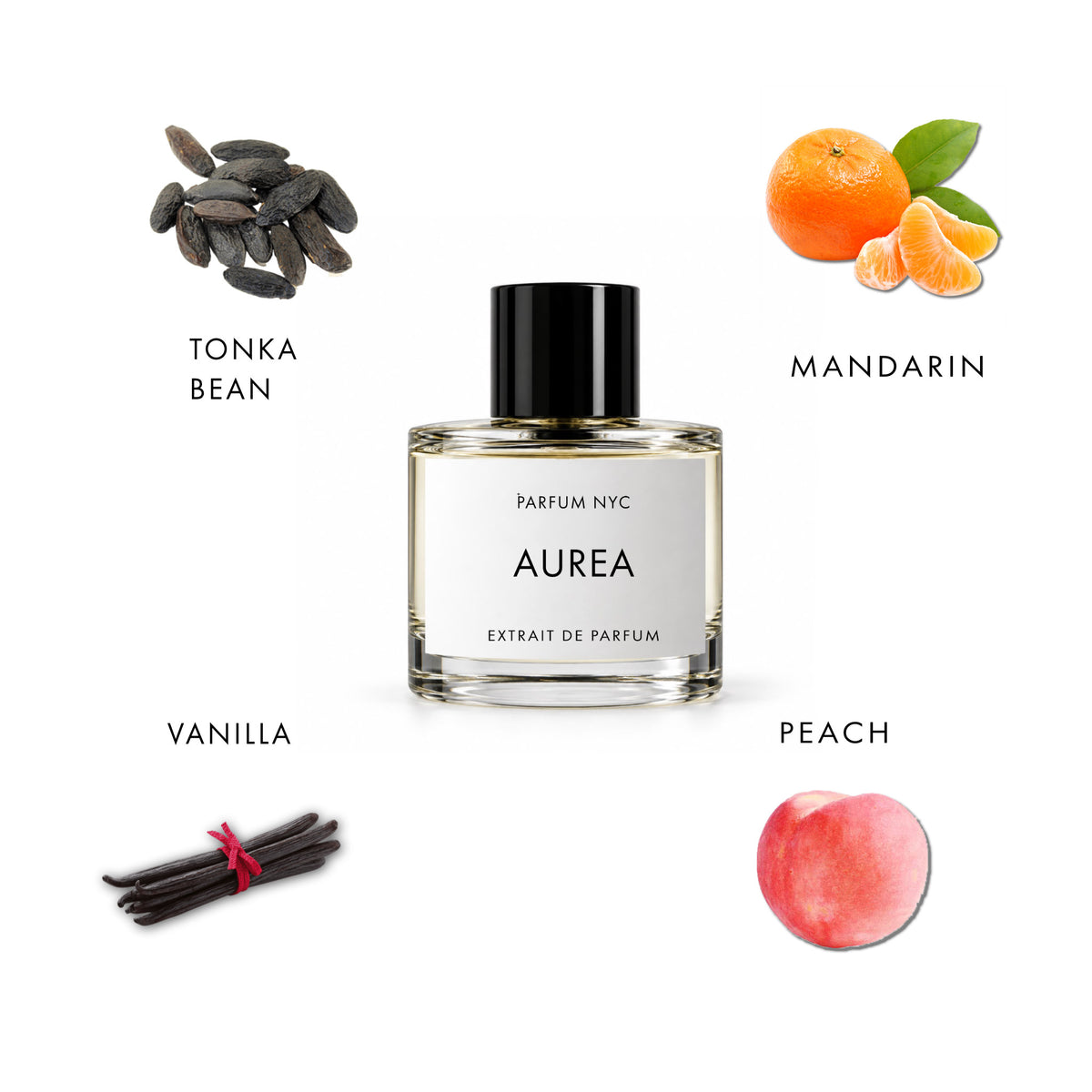 AUREA