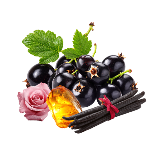 Dark fruit. Soft rose. Italian confidence.