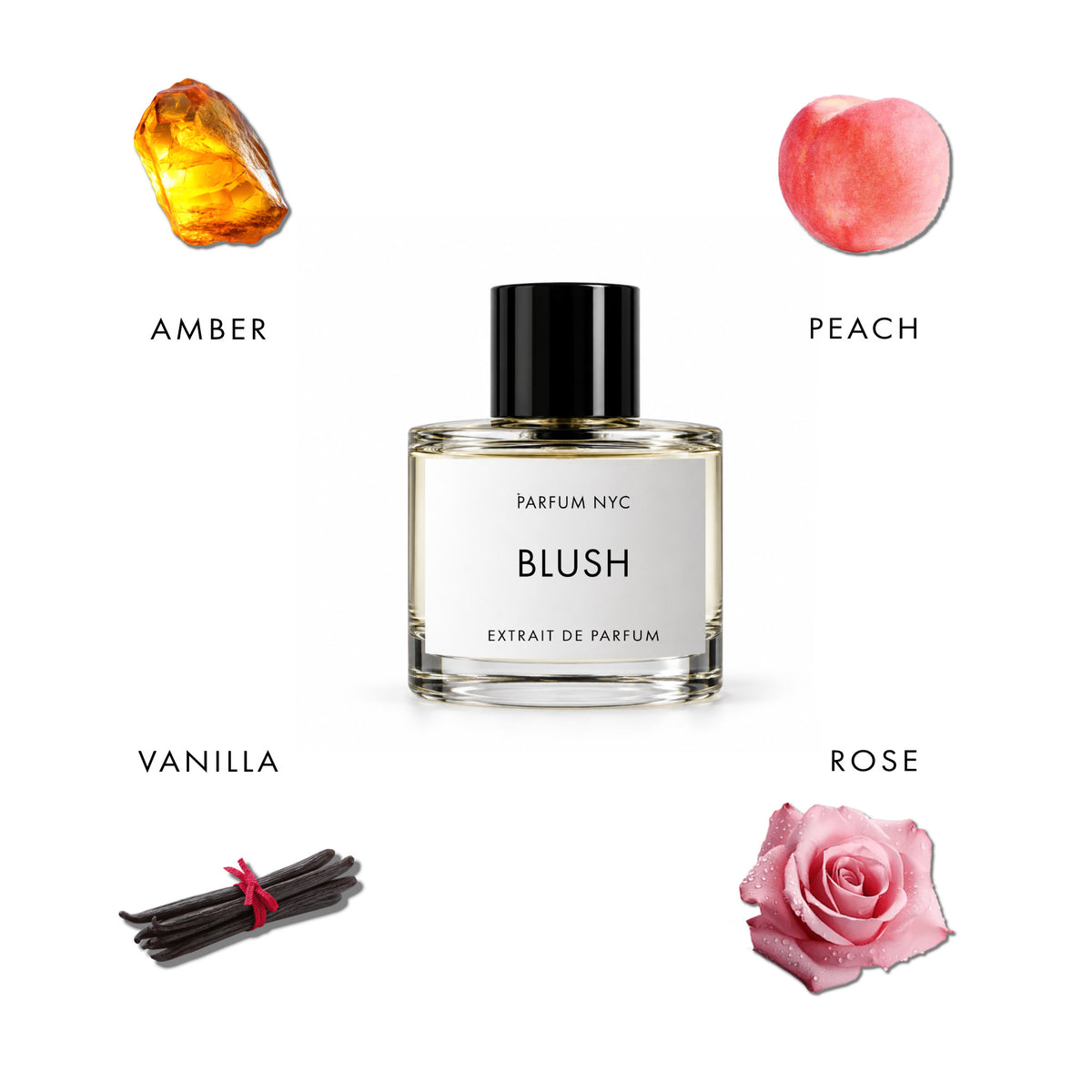 BLUSH