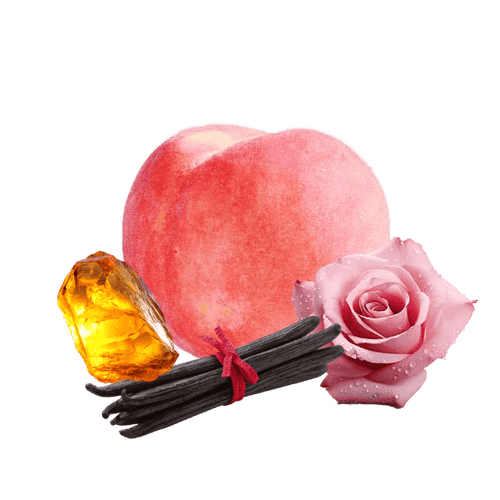 Soft rose. Clean musk. Skin, perfected.