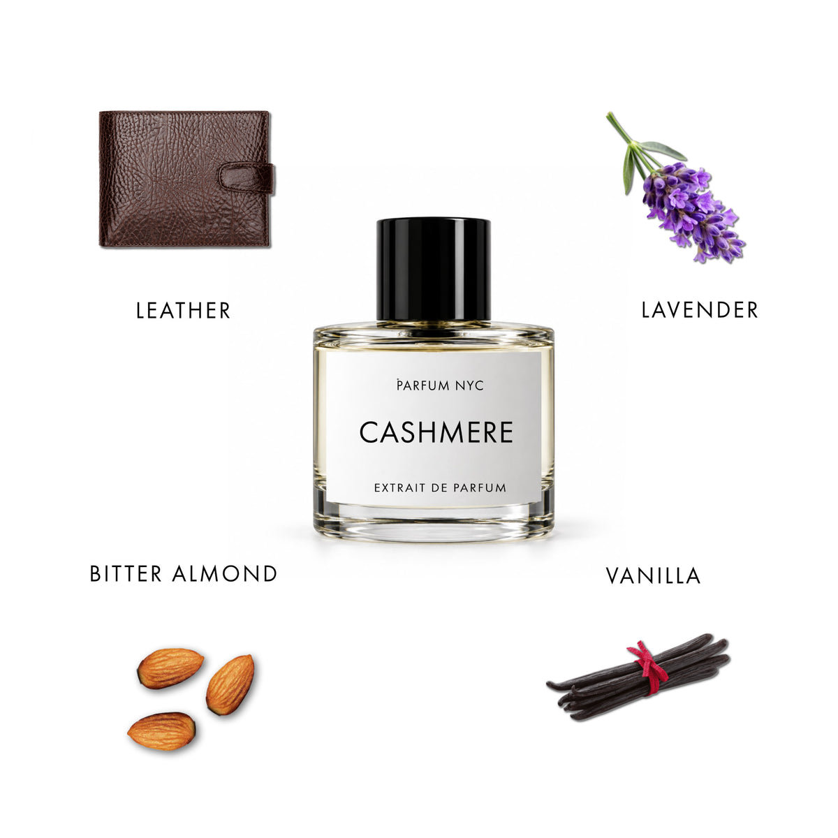 CASHMERE