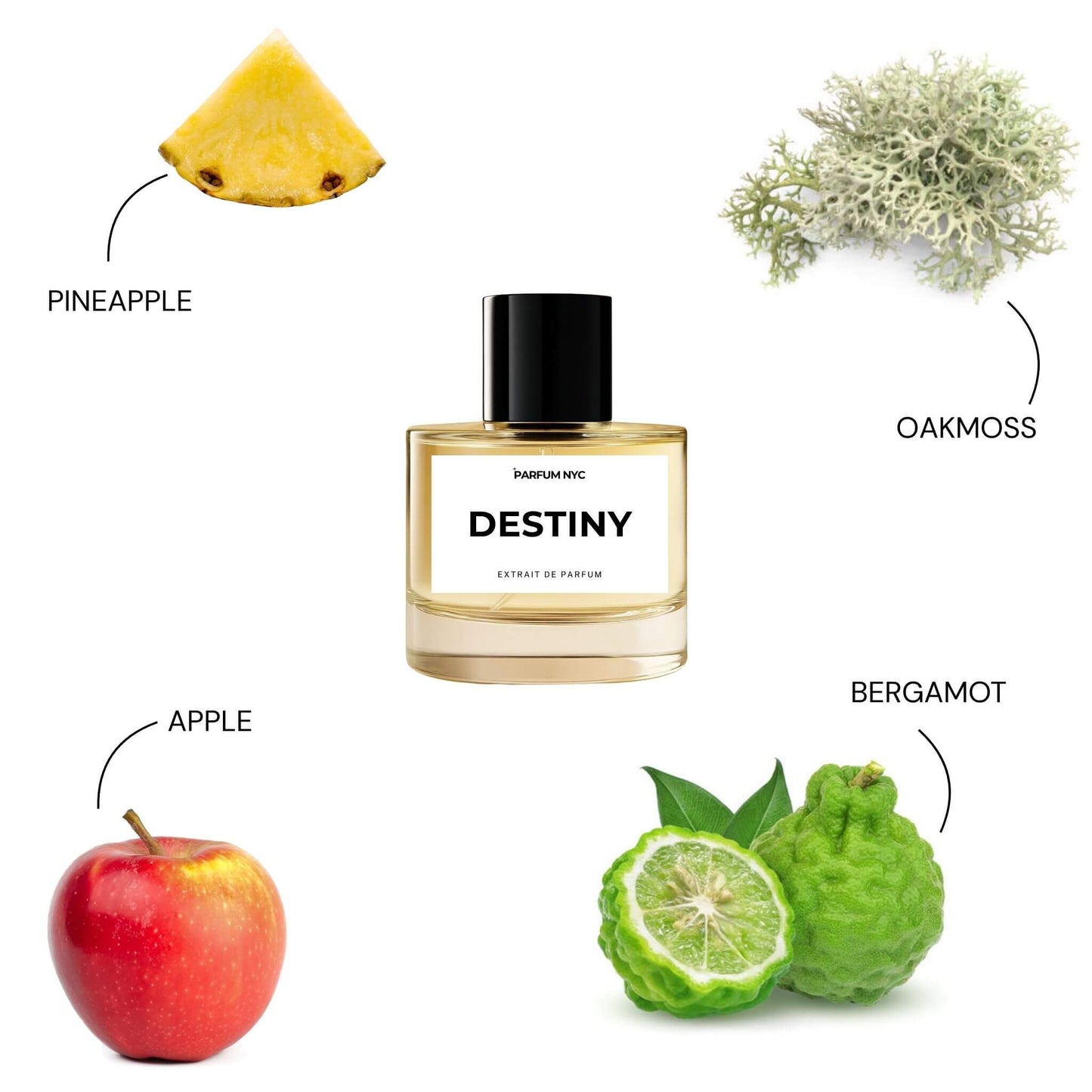Destiny extrait perfume inspired by Creed Aventus