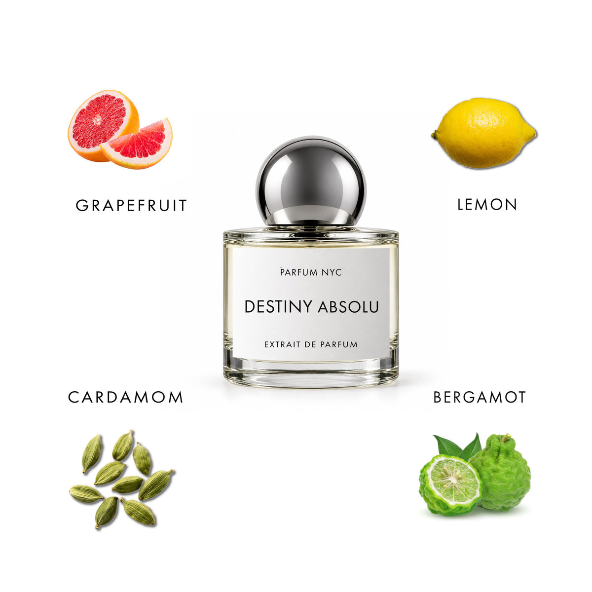 DESTINY ABSOLU