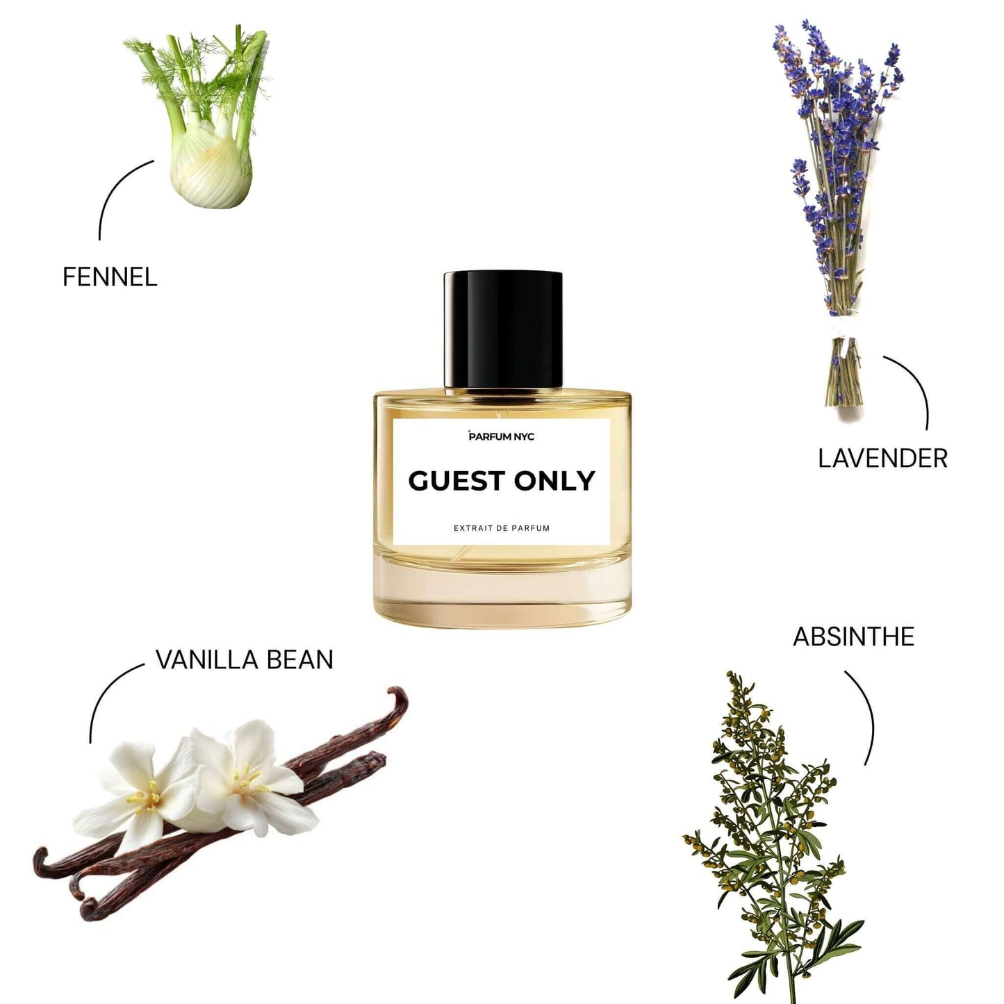 Guest Only extrait perfume inspired by Carolina Herrera 212 Vip Black