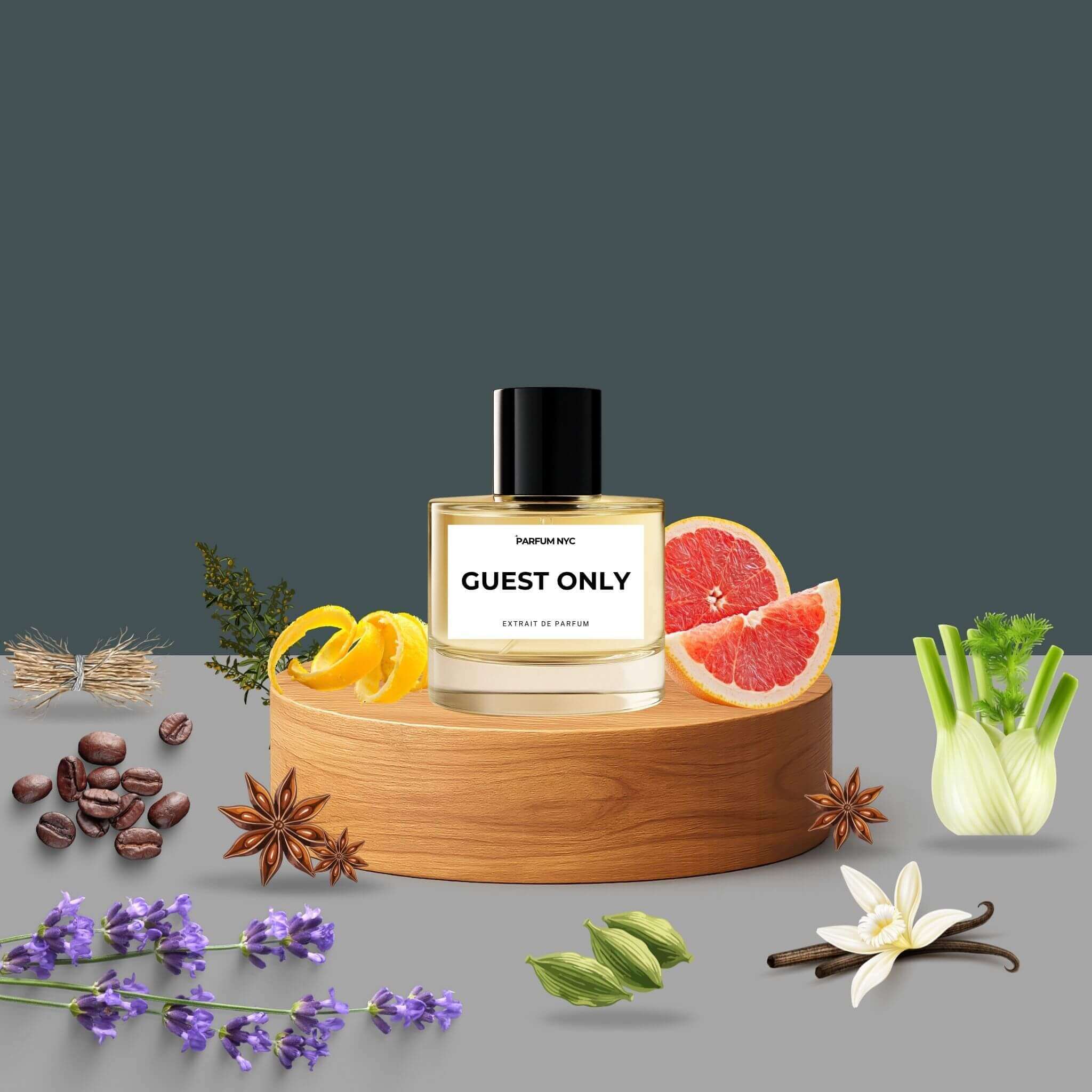 Guest Only extrait perfume inspired by Carolina Herrera 212 Vip Black
