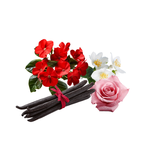 Crimson petals. Soft leather. Electric warmth.