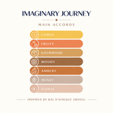 IMAGINARY JOURNEY