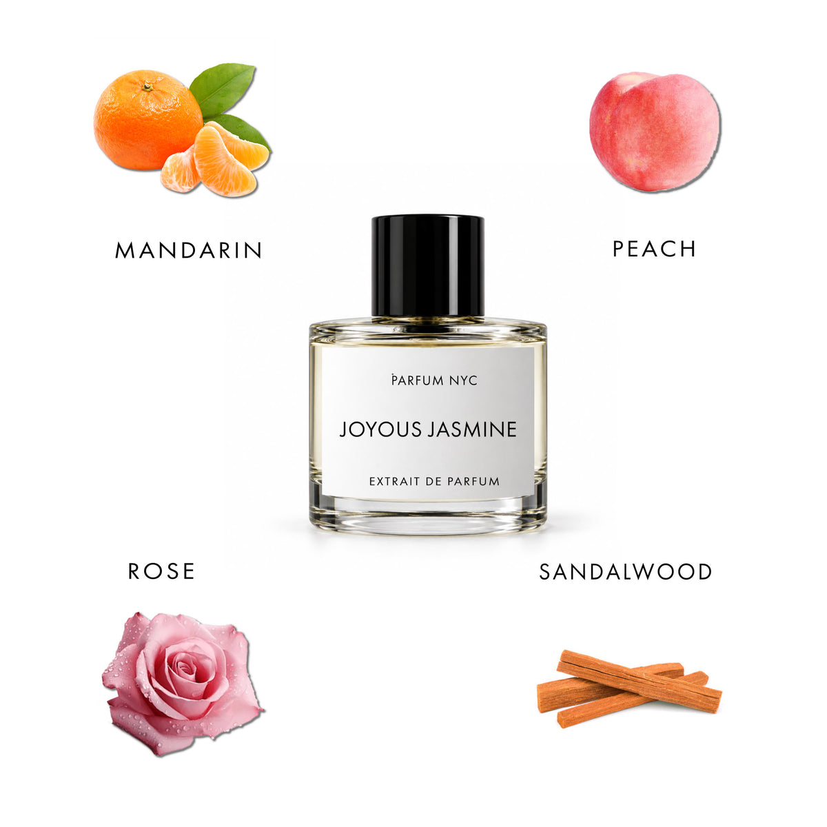 JOYOUS JASMINE