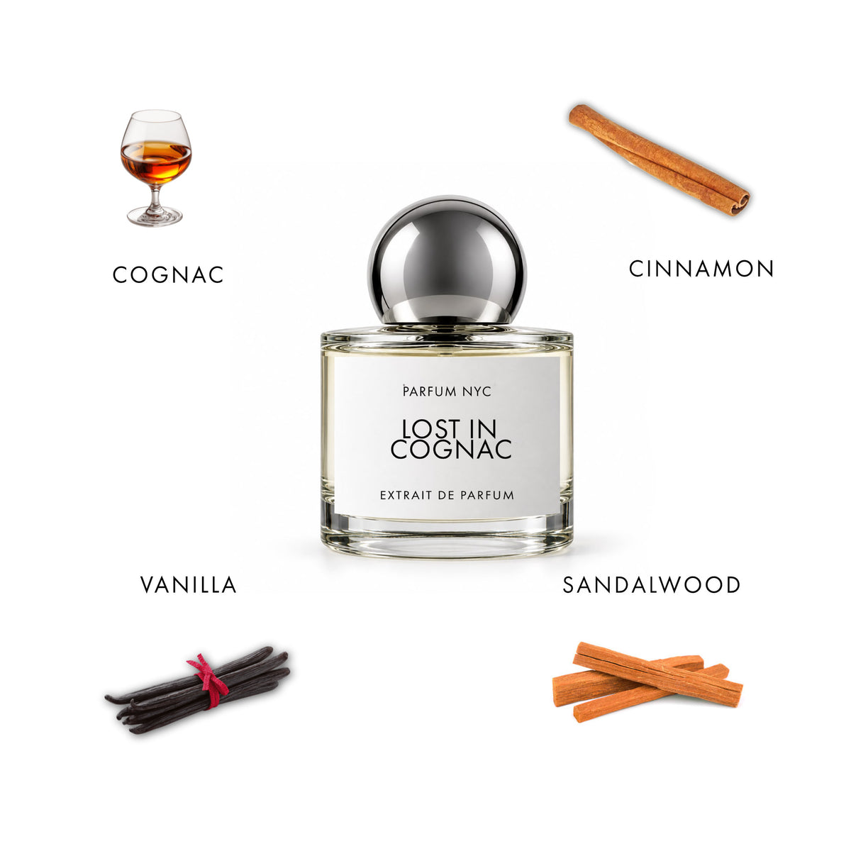LOST IN COGNAC
