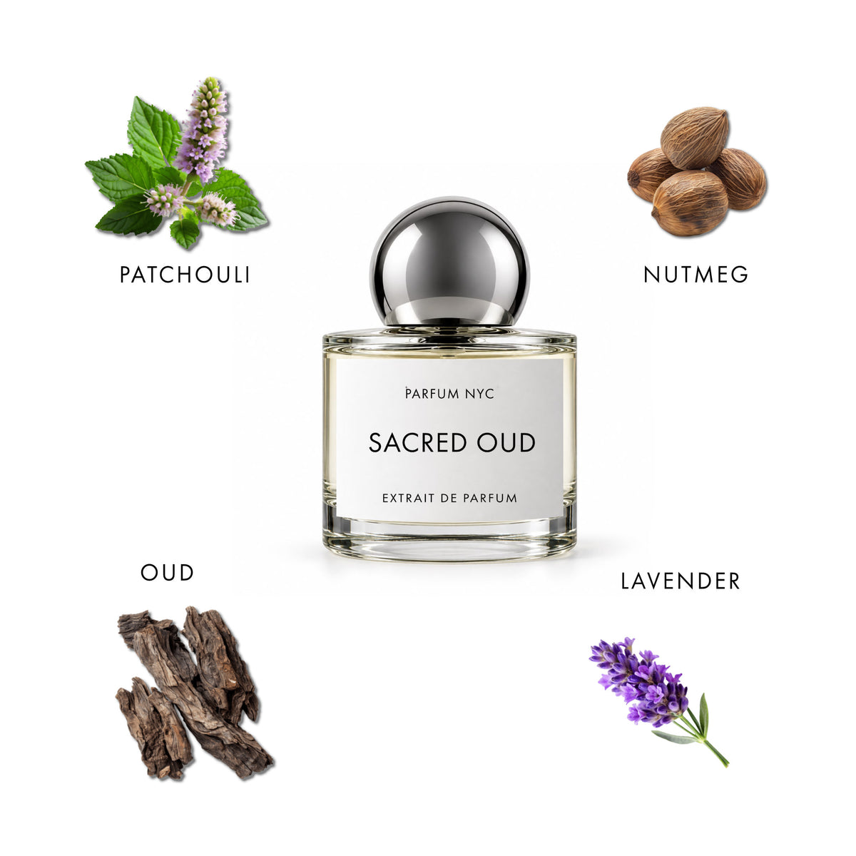 SACRED OUD
