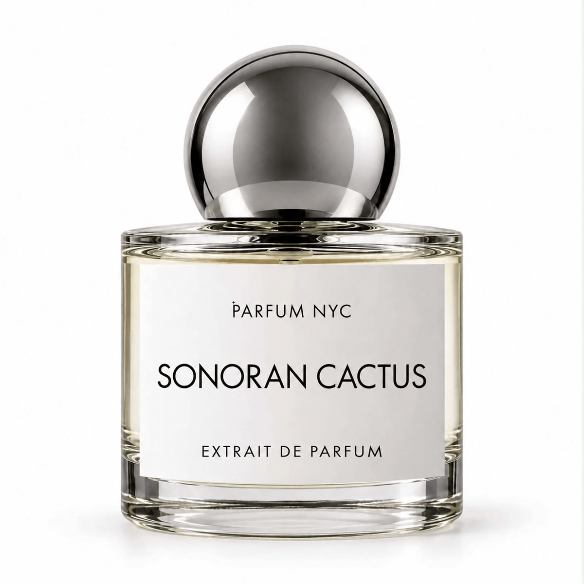 SONORAN CACTUS