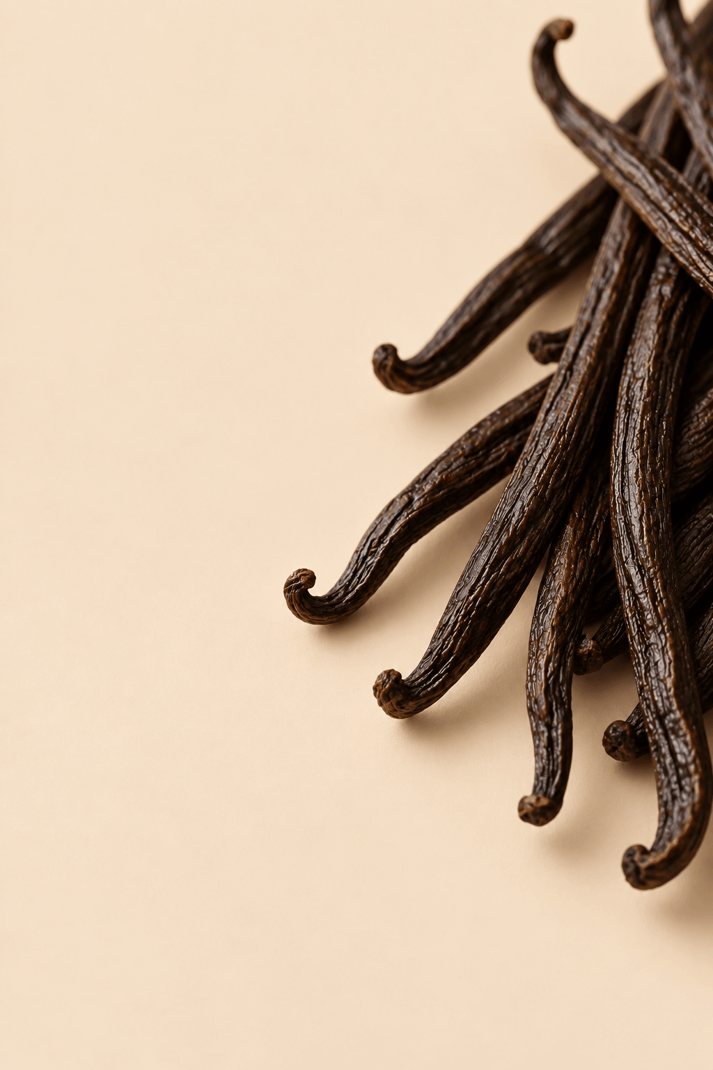 Vanilla