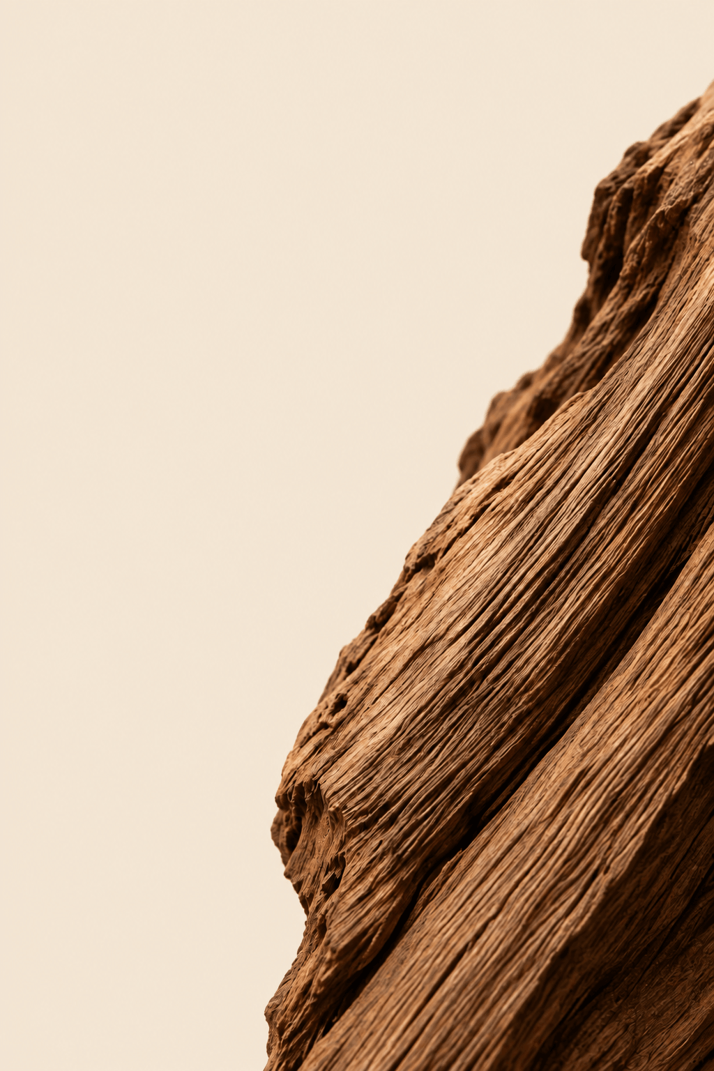 Woody