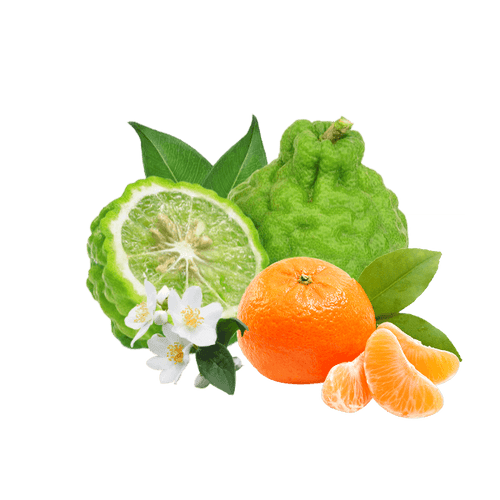 Sea air. Bright citrus. Mediterranean ease.