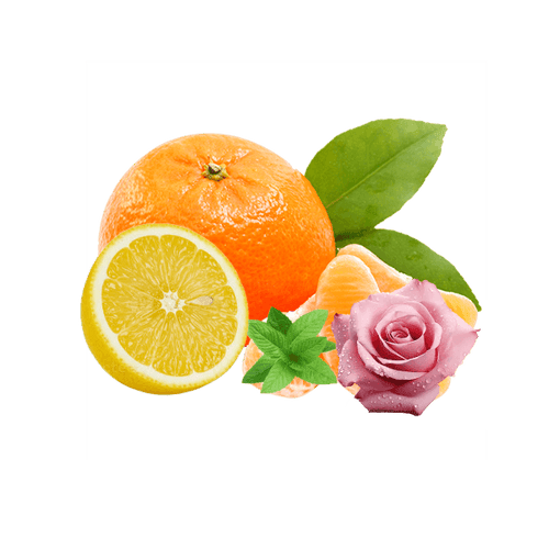 Juicy citrus. Cool herbs. Endless daylight.