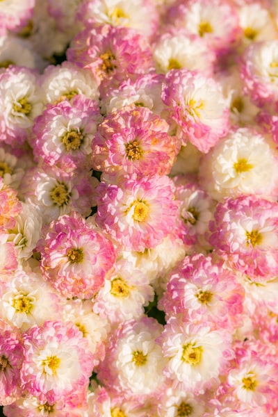 Floral