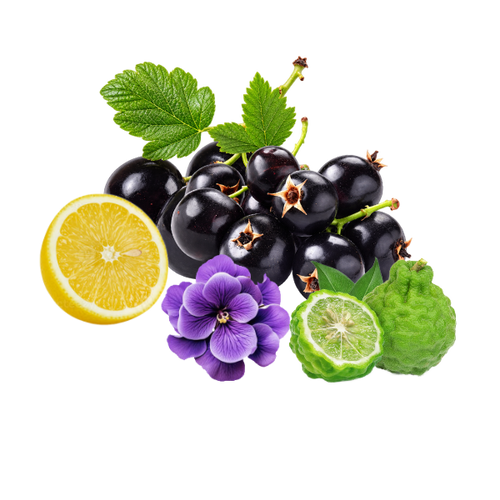 Citrusy Bergamot, Warm Woody, African Roots.