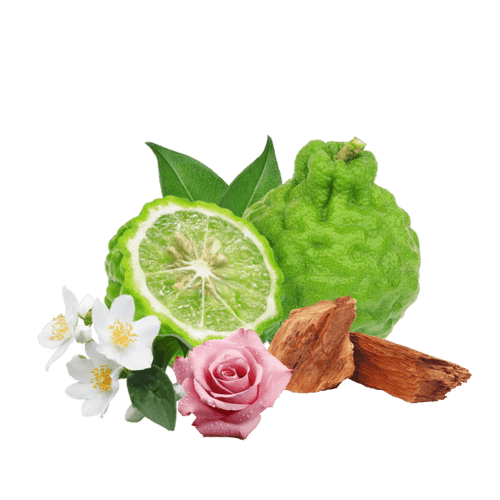 White flowers. Creamy petals. Endless bloom.