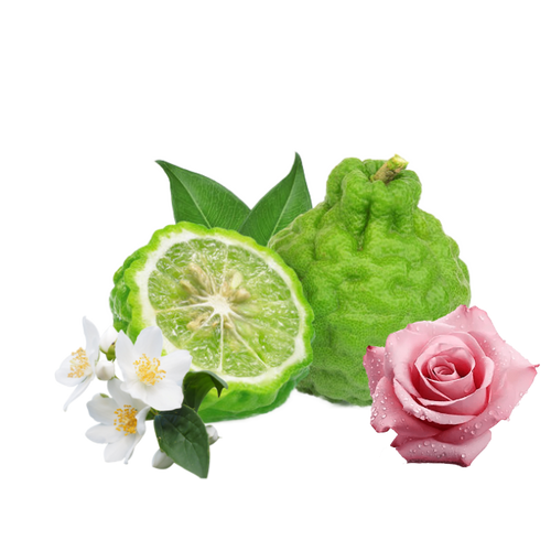 Fresh petals. Jasmine glow. Pure elegance.