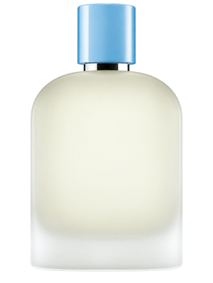 Light Blue D&G