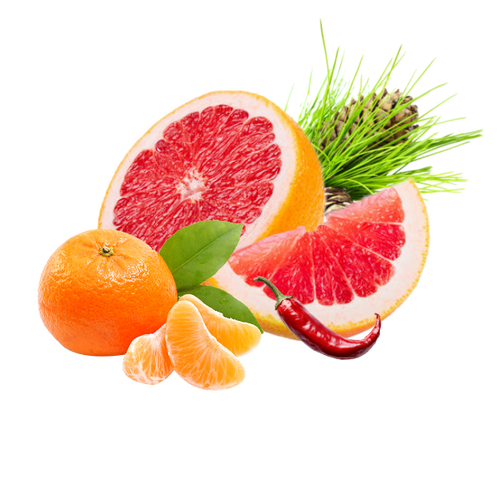Bitter citrus. Dry earth. Tailored woods.