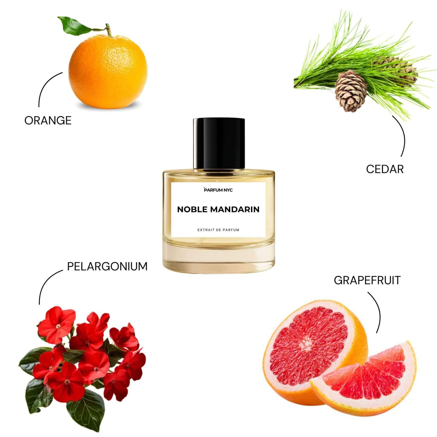 Noble Mandarin extrait perfume inspired by terre d'hermes