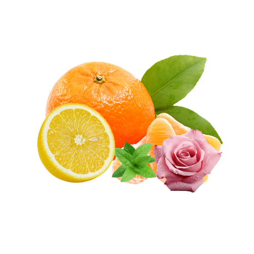 Bright citrus. Soft florals. Paris after noon.