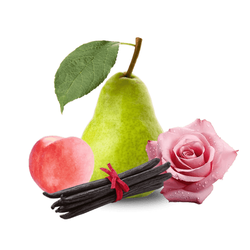 Fresh petals. Sheer rose. Barely there.
