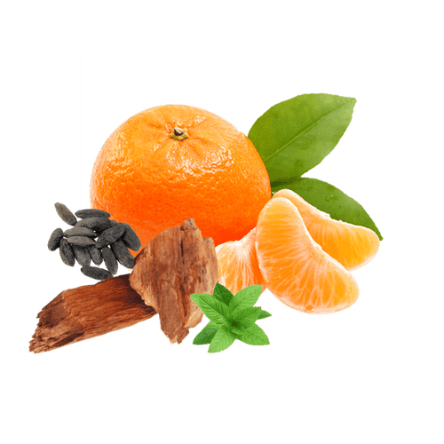 Cold citrus. Clean musk. Athletic polish.