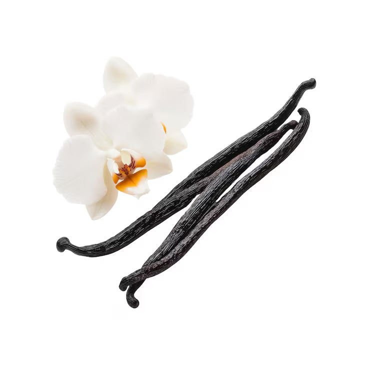 Vanilla