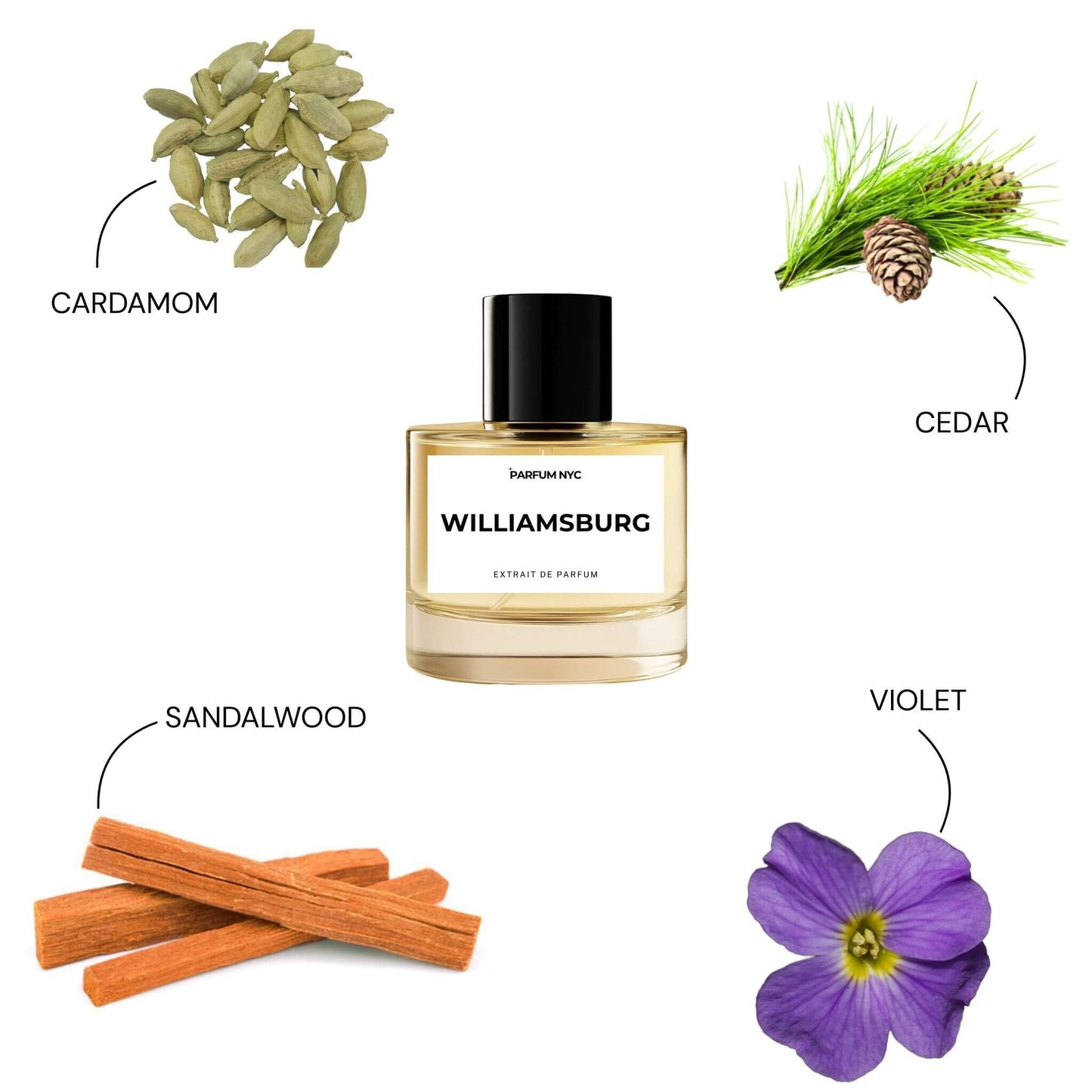 Williamsburg extrait perfume inspired by Le Labo Santal 33
